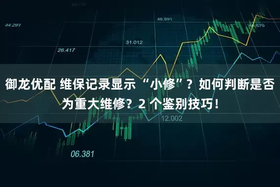 御龙优配 维保记录显示 “小修”？如何判断是否为重大维修？2 个鉴别技巧！